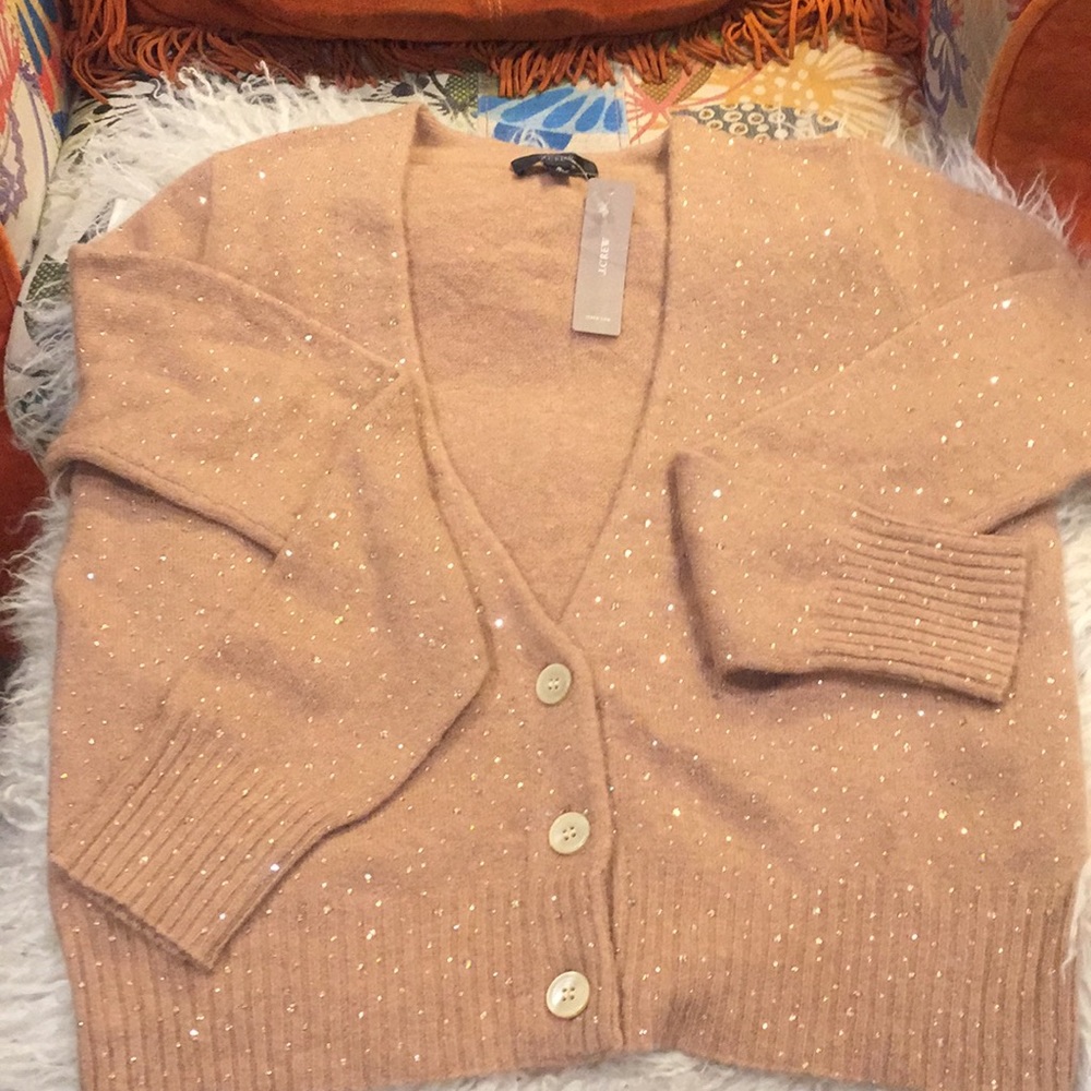 J crew v- neck sparkle cardigan sweater (NEW) - Picture 7 of 15